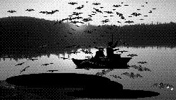Bats