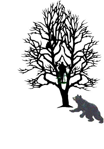 Bear Attack