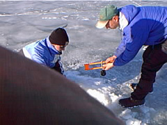 pic00041