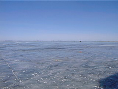 pic00052