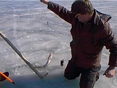 pic00060