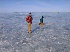 pic00061