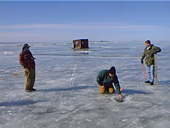 pic00063
