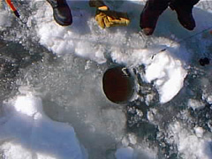 pic00070