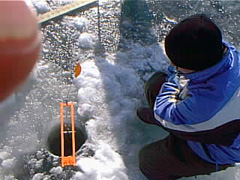 pic00075