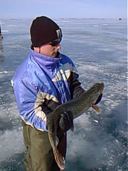 pic00082