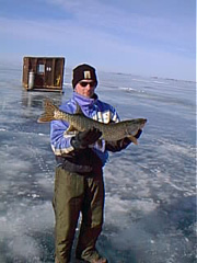 pic00083