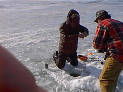 pic00097