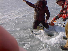 pic00098