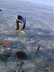 pic00104