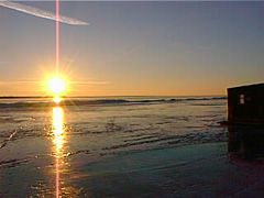 pic00113