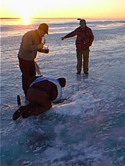 pic00115