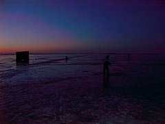 pic00117