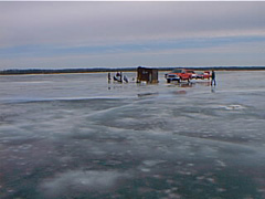 pic00142