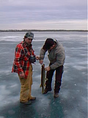 pic00144