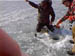pic00098