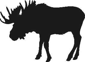 Bullwinkle