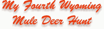 My Fourth Wyoming Mule Hunt