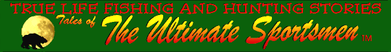 Bookmark this Page