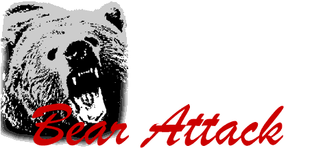 Bear Attack