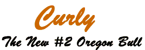 Curley