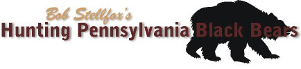 Hunting Pennsylvania Black Bears