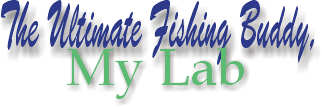 The Ultimate Fishing Buddy, My Lab
