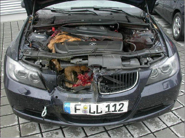 Bmw Z4. BMW Z4