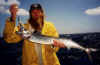 Barracouta