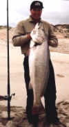 Mulloway
