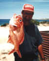 Nannigai