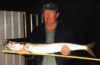 Snook