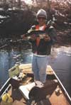 Tims Bass
