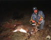 Big Buck