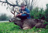 Steve's Rainy Day Buck