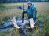 Nice Moose