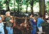 Boar Hunt