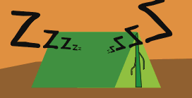 Sleeping in a tent