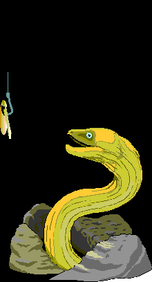 Eel fishing with a worm