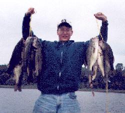 Lots of Bass