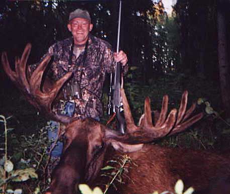 Trophy Moose