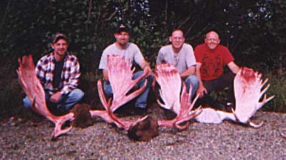 Moose hunt