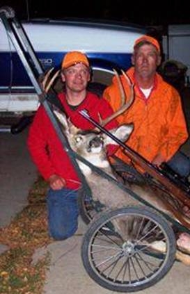 Mule Deer
